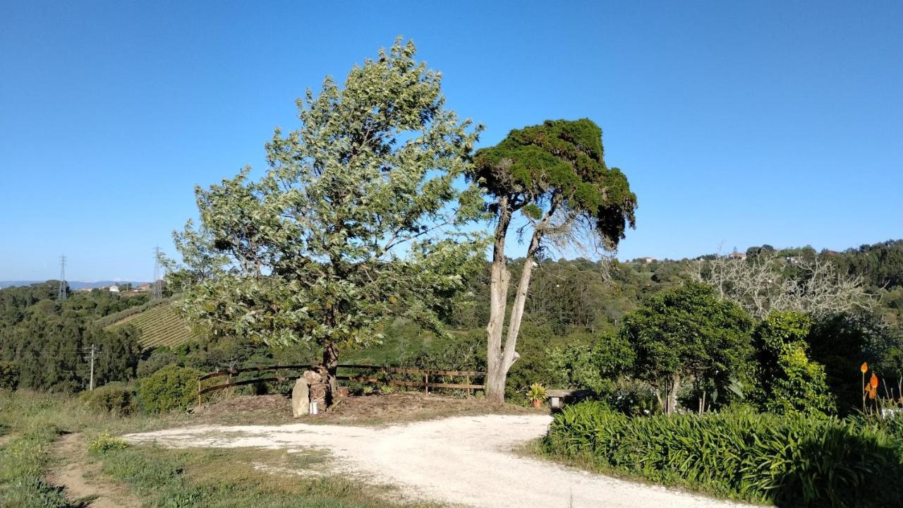 Quinta Do Oratorio Agroturismo オビドス エクステリア 写真